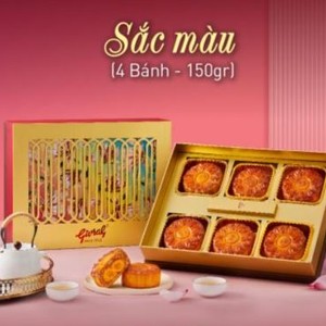 Combo Sắc Màu