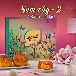 Combo Sum Vầy 2