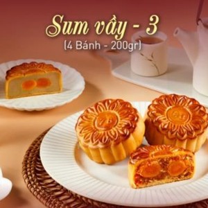 Combo Sum Vầy 3